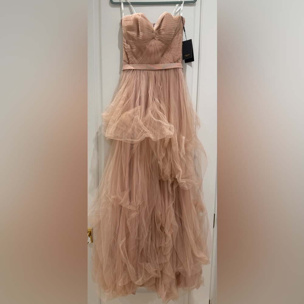 Terani Couture Blush Tulle Evening Gown